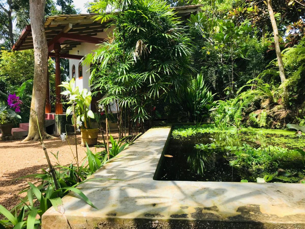 Swarnapaya résidence Bentota Exterior foto