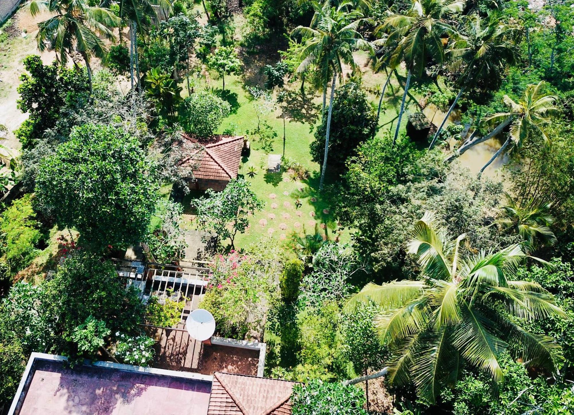 Swarnapaya résidence Bentota Exterior foto